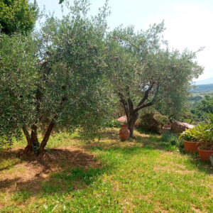 Castiglione in Teverina-italia