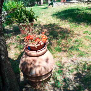 Castiglione in Teverina-italia