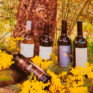 Castiglione in Teverina-italia